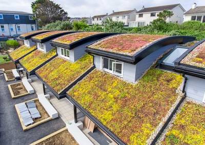 Green Roofs in Ireland: Benefits, Costs, and Planning Guide (2025)